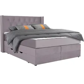 Home Affaire Elegance 141 x 210 cm H2 lila