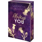 harpercollins taschenbuch Always You