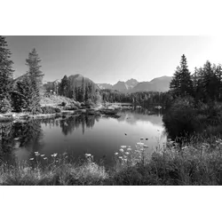 Fototapete PAPERMOON "Landschaft Schwarz & Weiß", schwarz (schwarz, weiß), B:2,50m L:1,86m, Vlies, Tapeten