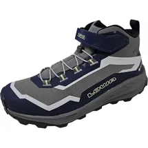 Lowa Kinder Trailux GTX Mid Schuhe (Größe 30, grau)
