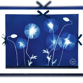 Clairefontaine 5x Cyanotypie, Zeichenmappe 28x38cm, Verschluss 3 Bändern 83513C