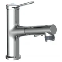 Eisl Variabile Einhandmischer mit Haarbrause chrom NI075VARCR