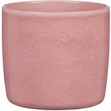 Scheurich Übertopf Rosea900/21