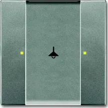 Busch-Jaeger Tastsensor 1/2fach 6125/02-803