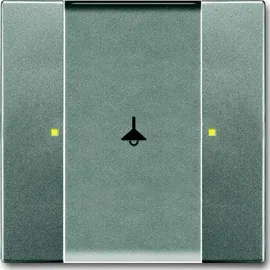 Busch-Jaeger Tastsensor 1/2fach 6125/02-803