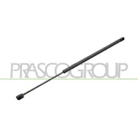 PRASCO Gasfeder, Koffer-/Laderaum