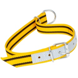 Kälberhalsband verstellbar 90cm x 35mm aus Nylon, gelb
