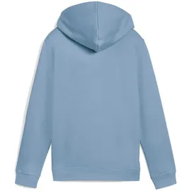 Puma Hoodie Coolblue 176
