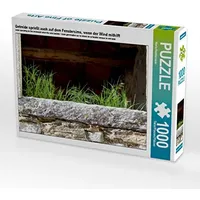 Calvendo Getreide sprießt auch auf dem Fenstersims, wenn der