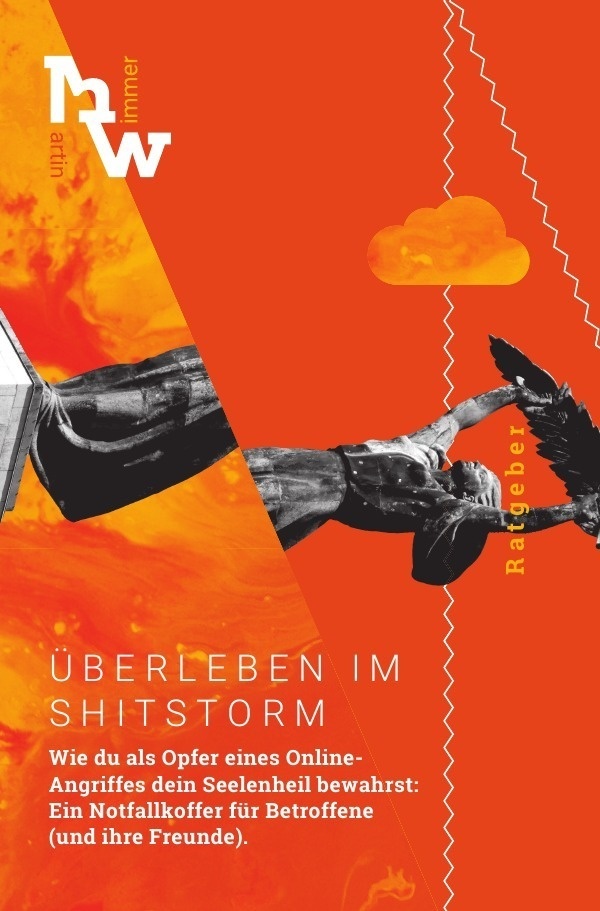Überleben Im Shitstorm - Martin Wimmer  Kartoniert (TB)