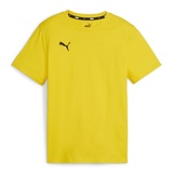 Puma teamGOAL Jungen 07 faster yellow/black 164