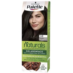 PALETTE PALETTE NATURAL dye - Black