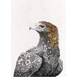 Maxwell & Williams Marini Ferlazzo Birds Bedrucktes Geschirrtuch mit Feenzaunkönig-Design, 100% Baumwolle, Schwarz/Weiß, 50 x 70 cm, Waschmaschinenfähig
