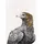 Maxwell & Williams Marini Ferlazzo Birds Bedrucktes Geschirrtuch mit Feenzaunkönig-Design, 100% Baumwolle, Schwarz/Weiß, 50 x 70 cm, Waschmaschinenfähig