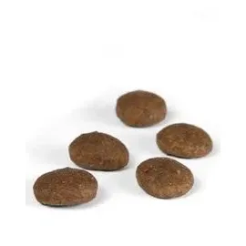 Josera Festival 900 g