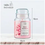 Purple River Duftkerze im Glas Peony Blossom 623g