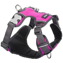Red Dingo Polsterung Pink Größe XS