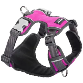 Red Dingo Polsterung Pink Größe XS