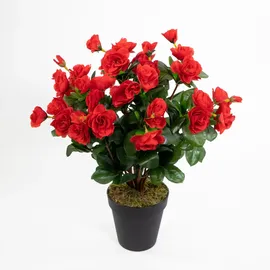 Seidenblumen Roß Azalee 40cm rot im Topf ZF Kunstpflanzen Kunstblumen künstliche Blumen