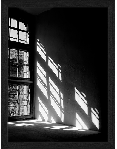 ANY IMAGE Digitaldruck »Sonnenlicht«, Rahmen: Buchenholz, Schwarz