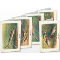 Quelle & Meyer Kunstklappkarten "Süßwasserfische"