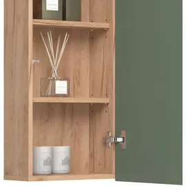 Vicco Hängeschrank Izan Goldkraft Eiche/Grün