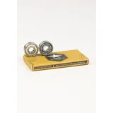 TITUS Skateboard Silverstars