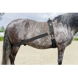 USG "Lehmann" Trainingssystem