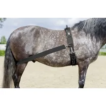 USG "Lehmann" Trainingssystem