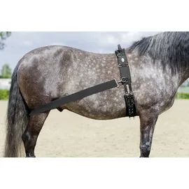 USG "Lehmann" Trainingssystem