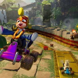 Crash Team Racing Nitro Fueled - Edition - PEGI (Nintendo Switch)