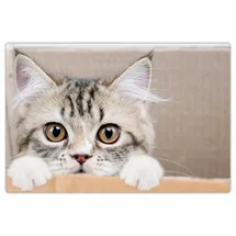 cover-your-desk Schreibtischunterlage für Kinder und Erwachsene Maine Coon Kätzchen, aus hochwertigem Vinyl , 60 x 40 cm