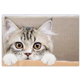 cover-your-desk Schreibtischunterlage für Kinder und Erwachsene Maine Coon Kätzchen, aus hochwertigem Vinyl , 60 x 40 cm