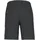 ICEPEAK Beaufort Shorts grau 46