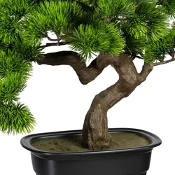 CREATIV green künstliche Pflanze Bonsai Kiefer ca 40x40cm, in Kunststoffschale 22x15x6cm, schwarz