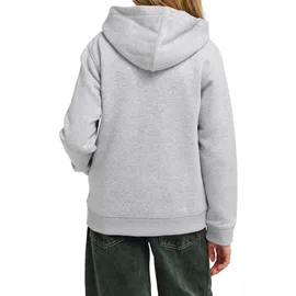 Element Hoodie Grey 14