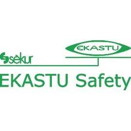 Ekastu Safety Ekastu 277 399 Schweißerschutzbrille Schwarz EN 166-1 DIN 166-1