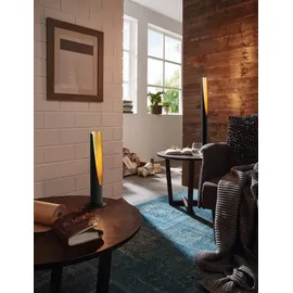 EGLO Barbotto Schwarz Gold