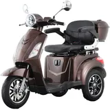 aktiv mobil E-Trike Pro Braun
