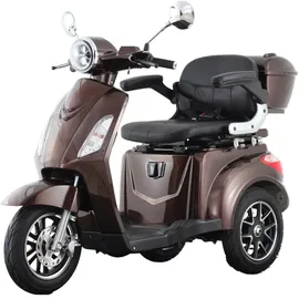 aktiv mobil E-Trike Pro Braun