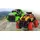 Jamara RC-Auto Runny Two 1:43 40MHz RTR rot (403601)