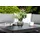 Primaster Limoncello Set 7-tlg. Grau