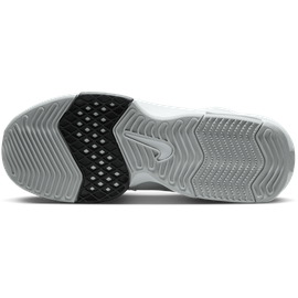 Nike Lebron Witness Viii WHITE/BLACK-LT Smoke Grey, 42 1⁄2