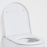 Kartell LAUFEN WC-Sitz, abnehmbar, H8913330000001