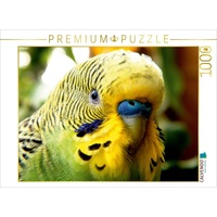 Calvendo Puzzle Wellensittich - Ein tiefer Blick in die