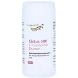 Vita World Cistus 500 Kapseln 60 St.