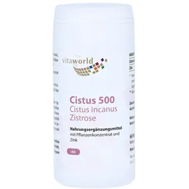 Vita World Cistus 500 Kapseln 60 St.