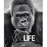 Korsch Verlag WildLife 2026