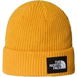 THE NORTH FACE Herren Mütze SALTY LINED BEANIE, Größe ONE SIZE in Orange SUMMIT GOLD