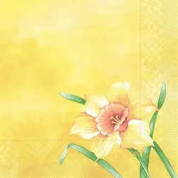 Mank Serviette aus Tissue - Elvira, 40 x 40 cm, 100 Stück - Osterglocken Narzissen Floral